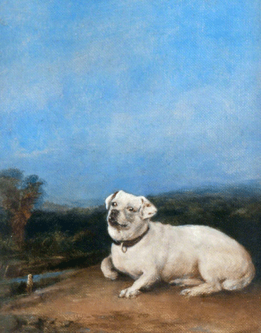 'Pat', Regimental Dog of the 72nd .e.b. 1887. dogs cemetery edinburgh castle